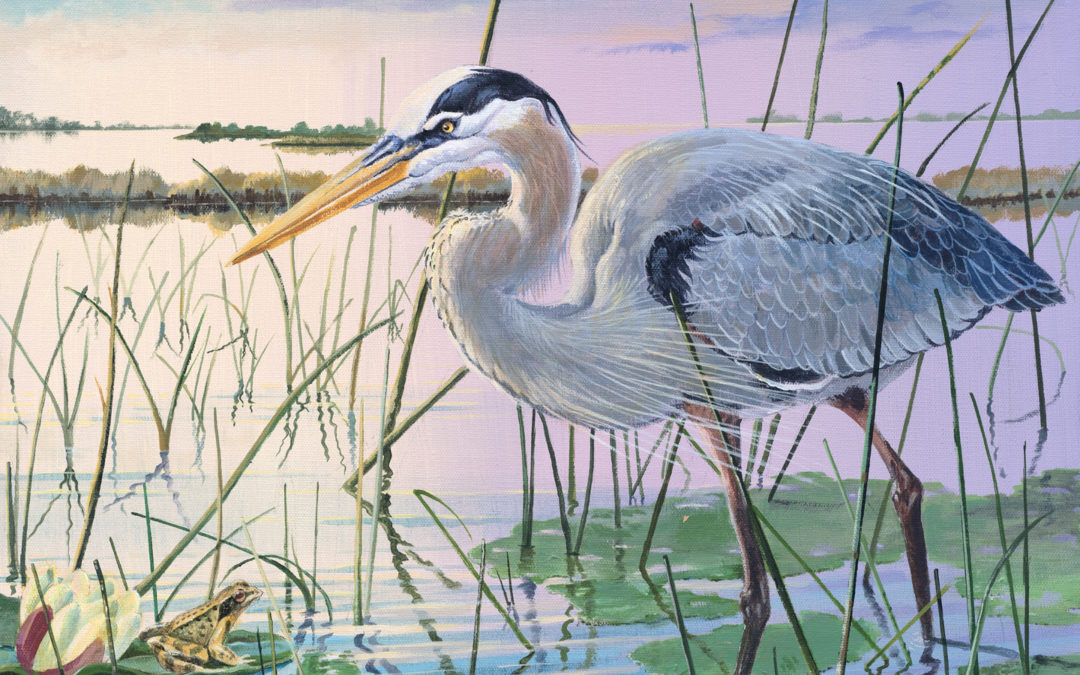 “Birds and Other Stuff”  exhibit at the Center for Creative Arts in Bluffton SC